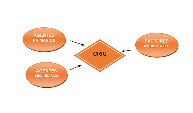 factores-asociados-cric