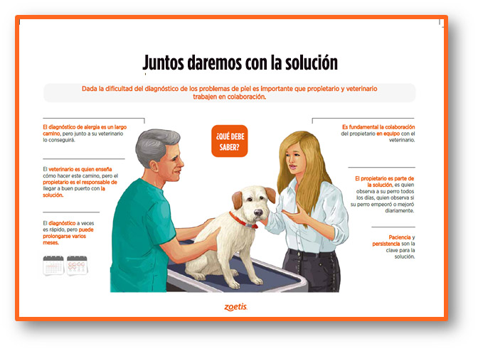 Lima habilitar Superior Atajar el picor en los perros: una labor de equipo de propietario y  veterinario