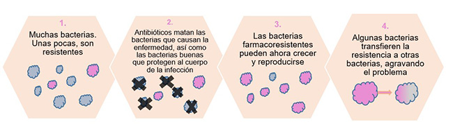 proceso-adquisicion-resistencias